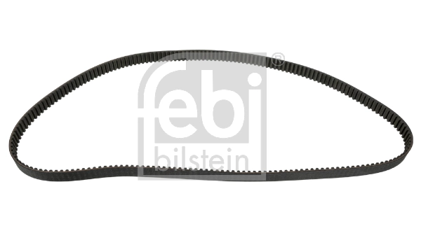 Timing Belt